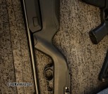 Ruger 10/22 backpacker