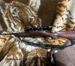 Kimber 8400 Mountain assent