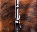 Shilo Sharps 45-70 long range