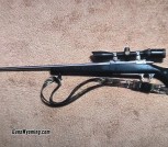 Ruger M77 mark ii stainless .223