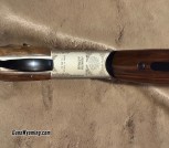 20ga. Acrius pointer