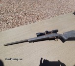 Custom rifle