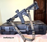 Palmetto AR-15 Pistol 10.5” 5.56 + Ammo & Tactical