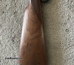 IMG_4855