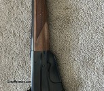 IMG_4856